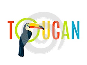 Toucan Flat Decorative Nameplate Design Banner