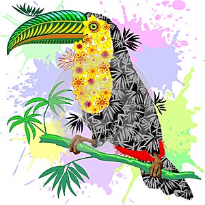 Toucan Floral Pattern Wild Bird from Amazon Rainforest