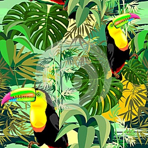 Toucan in Green Amazonia Rainforest Seamless Pattern Vector Design