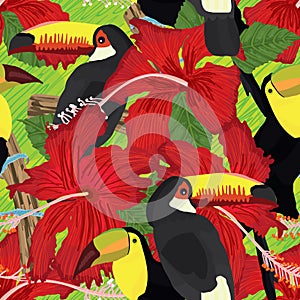 Toucan hibiscus rosa tropical seamless pattern photo