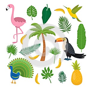 Toucan, hummingbird and flamingo. Summer tropical graphic