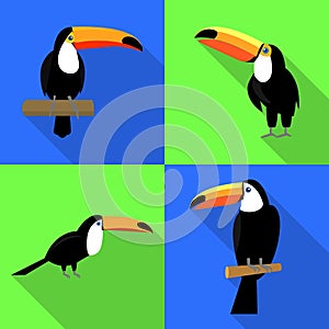 Toucan icons set, flat style