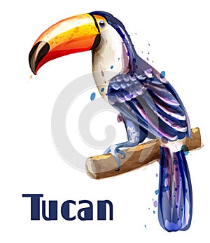 Toucan isolated Vector watercolor. Exotic summer templates decor photo