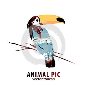 Toucan and palm trees