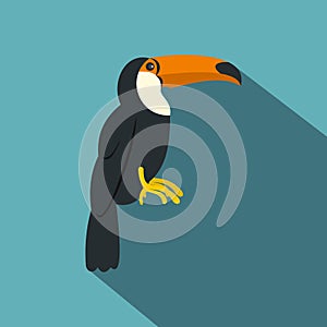 Toucan, ramphastos vitellinus icon, flat style