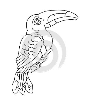 Toucan tropical bird. Editable outline stroke. Vector line illustration.