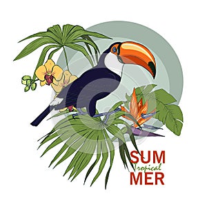 Toucan and tropical plants and flowers