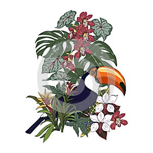 Toucan and tropical plants and flowers