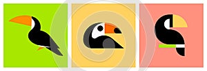Toucan. Vector logo mark template or icon of black tropical bird sitting on a branch