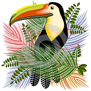 Toucans Hawaiian Summer Mood Vector Illustration photo