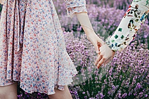 Touching hands in lavanda field