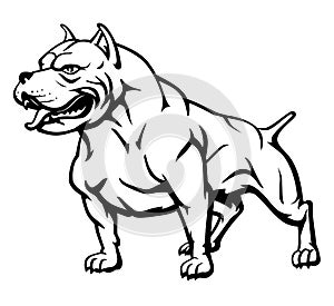 Tough Pitbull Pet Dog, Line Art Illustration