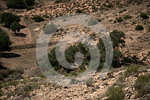 Toujane, south of tunisia, part of dahar