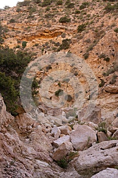 Toujane, south of tunisia, part of dahar