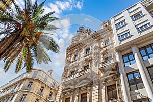 Toulon, France. Low angle view of historical buildings and palm tree against blue cloudy sky.