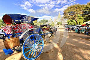 tour in bagan