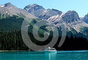 Tour boat, Maligne Lake photo