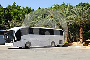 Tour Bus