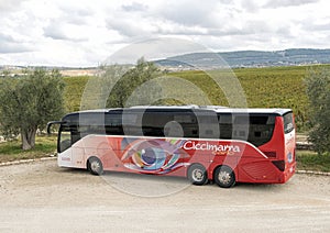 An tour bus with olive trees and fields of grape vines in the background at the Tomaresca Tenuta Bocca di Lupo