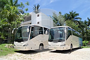 Tour buses. tour coaches parked in a car park or parking area photo