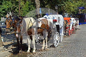 Tour carriages on street,Sozopol Bulgaria