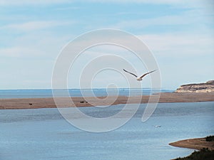 Tour in Coleta Valdes, sea birds watching