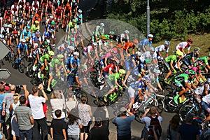 Tour de Pologne peloton