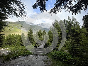 The Tour du Mont Blanc path close to Gite de la Lechere