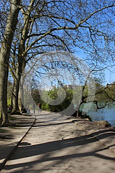 Tour in the park of Lyon