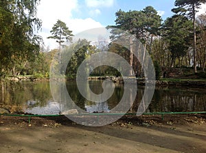 Tour to the Askania-Nova reserve-White swans and ducks in the pond