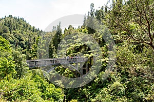 Tour on untouched Whanganui river and through the surrounding jungle, New Zealand