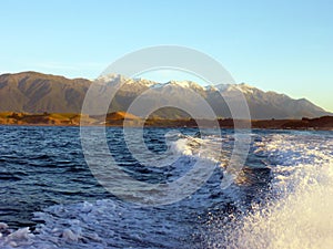 Tourboat leaving Kaikoura New Zealand