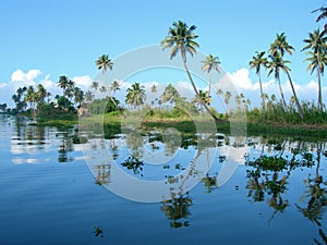Tourism in India, lush vegetation in Kerala
