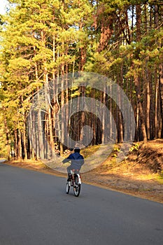 Tourism. A man on a bicycle rides along the road passing through the autumn forest. Tourism