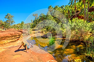 Tourism at Palm Valley Oasis