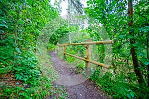Tourism pathway in the summer green park