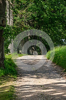 Tourism pathway in the summer green park