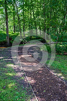 Tourism pathway in the summer green park