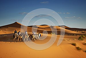 Tourism in the Sahara desert, Camel trekking tours for tourists