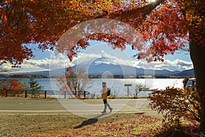 Tourist admiring Mt. Fuji in autumn, Japan