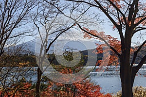 Tourist admiring Mt. Fuji in autumn, Japan