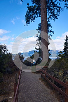 Tourist admiring the scenry and information provided by the Nevada parks