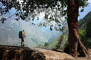 Tourist with backpack standing on big rock next to old tree enjoying view Solukhumbu, Everest Region, Nepal photo