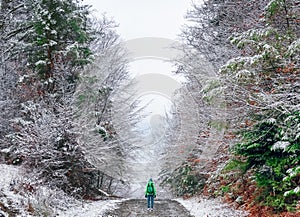 Tourist backpacker traveler with a green backpack goes alone on a trekking route road in the winter in the forest in frosty