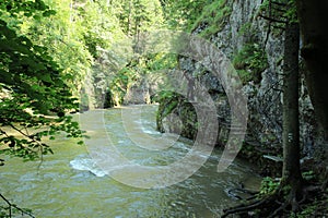 A tourist in the beautiful gorges of the Slovak Paradise National Park