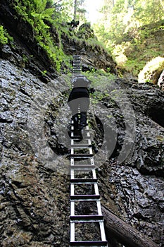 A tourist in the beautiful gorges of the Slovak Paradise National Park