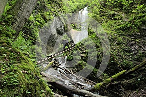 A tourist in the beautiful gorges of the Slovak Paradise National Park