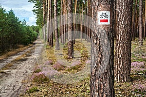 Tourist bike trail stamp in the woods during summer