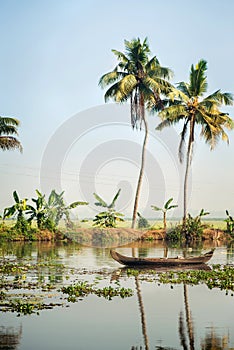 Tourist boat on Alleppey backwaters, India