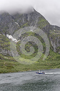 Tourist boat coasts to show summer snow on steep rocky side of Raftenfjord, Norway